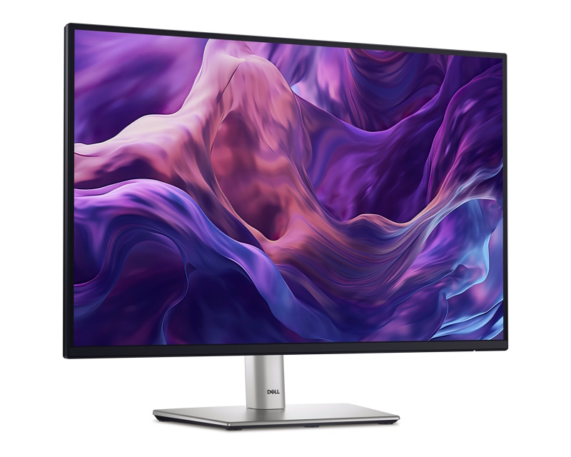 24 inch P2425 100Hz Professional IPS monitor