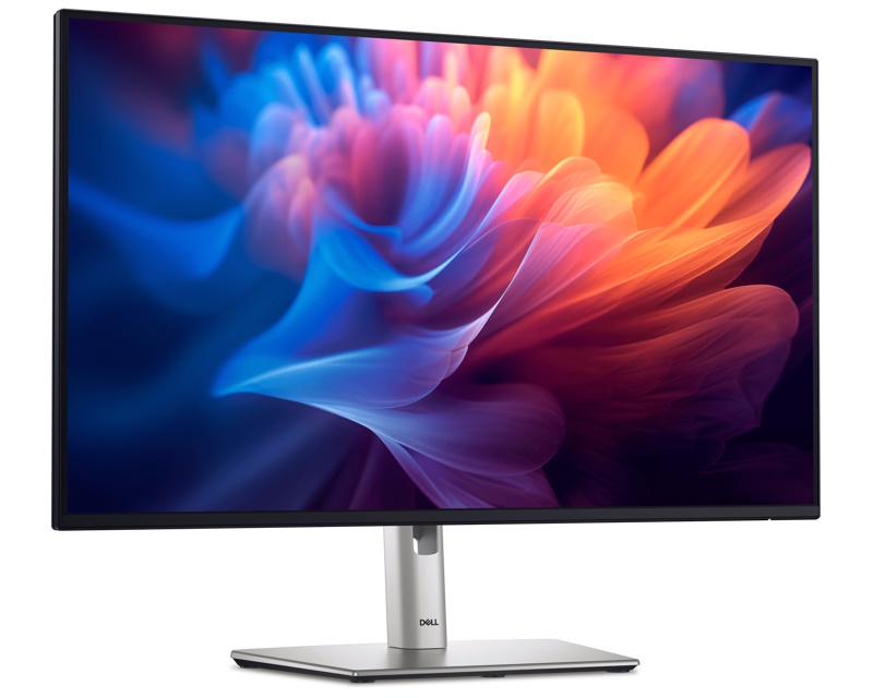 27 inch P2725HE 100Hz USB-C Professional IPS monitor