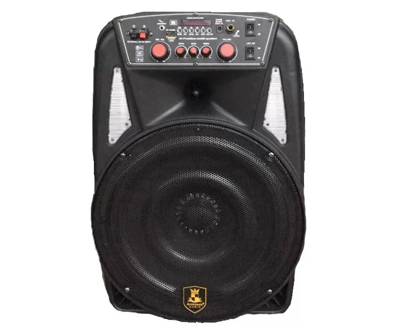 CH-8613 Prenosivi Karaoke Bluetooth Zvučnik